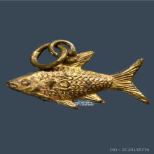 ปลาตะเพียน(ปลาทอง) หลวงพ่อจง วัดหน้าต่างนอก