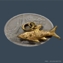 ปลาตะเพียน(ปลาทอง) หลวงพ่อจง วัดหน้าต่างนอก