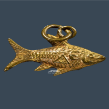 ปลาตะเพียน(ปลาทอง) หลวงพ่อจง วัดหน้าต่างนอก