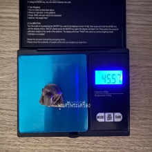 หลวงพ่อเกษม รุ่นมงคลเกษม 7 รอบ เนื้อเงิน หน้าตัก 1 นิ้ว