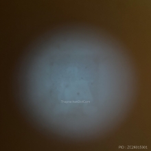 น้ำเต้าหลวงพ่อสด วัดปากน้ำรุ่นแรก สีงาช้าง