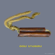 ตะกรุดสาริกา หลวงปู่ทิม วัดละหารไร่ เนื้อทองแดง 👑องค์ดารา👑