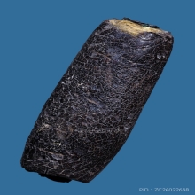 ตะกรุดพอกครั่ง หลวงพ่อทองศุข วัดโตนดหลวง