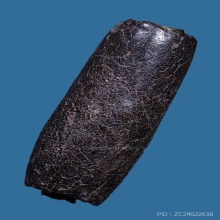 ตะกรุดพอกครั่ง หลวงพ่อทองศุข วัดโตนดหลวง