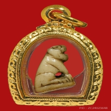 เสือหลวงพ่อสาย วัดคลองด่าน