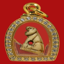 เสือหลวงพ่อสาย วัดคลองด่าน