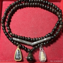 พระอาจารย์นำ วัดดอนศาลา จ.พัทลุง