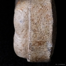 พระปิดตาจัมโบ้2 หลวงปู่โต๊ะ วัดประดู่ฉิมพลี