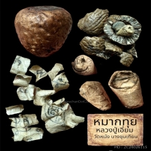 หมากทุยหลวงปู่เอี่ยม วัดหนัง 