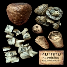 หมากทุยหลวงปู่เอี่ยม วัดหนัง 