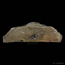 พระผงของขวัญพิมพ์พระประธาน ลป.โต๊ะ วัดประดู่ฉิมพลี ปี2521