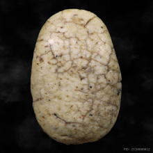 พระนาคปรกเนื้อผงเก่า หลวงพ่อย้อย ปุญญมี วัดอัมพวัน ปี2493