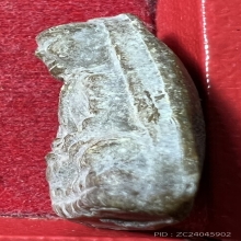 หลวงปู่ทวดวัดประสาทบุญญาวาส กทม.