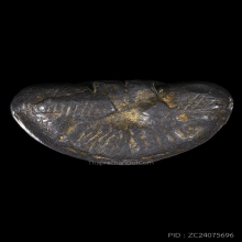 พระปิดตาเนื้อโลหะเก่า ไม่ทราบที่ สภาพสวยเนื้อจัดมาก