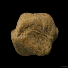 พระคงลำพูน