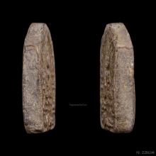 หลวงปู่ทิม ขุนแผนผงพรายกุมาร สวยแชมป์