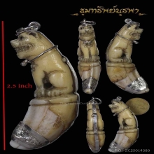 เขี้ยวเสือเลี่ยมเงิน อย่างสวย ขนาด 2.5 นิ้ว