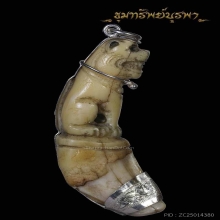 เขี้ยวเสือเลี่ยมเงิน อย่างสวย ขนาด 2.5 นิ้ว