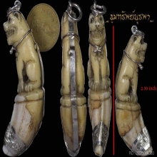 เขี้ยวเสือเลี่ยมเงิน อย่างสวย ขนาด 2.5 นิ้ว