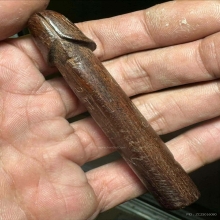 ปลัดขิกฉลามเมิน หลวงปู่อี๋ วัดสัตหีบ จ.ชลบุรี (ยุคต้น)