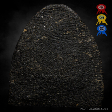 หลวงปู่ทวด วัดช้างให้ ปี2524 เนื้อว่าน พิมพ์กลาง