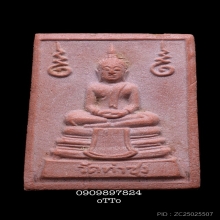 พระหางหมากหลวงพ่อฤาษีลิงดำ วัดท่าซุง(2)