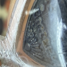 พระกลีบบัวรูปเหมือนรุ่นเลื่อนสมณศักดิ์พระธาตุเสร็จ