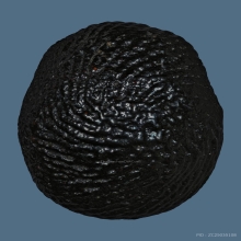 เบี้ยแก้หลวงปู่เพิ่มวัดกลางบางแก้ว