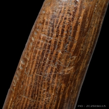 ปลัดขิกหลวงพ่ออี๋ วัดสัตหีบ (ลายมือหลวงพ่ออี๋)