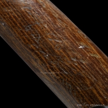 ปลัดขิกหลวงพ่ออี๋ วัดสัตหีบ (ลายมือหลวงพ่ออี๋)