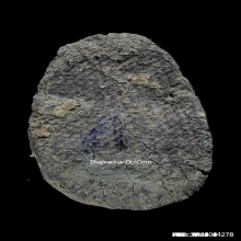 พระพิจิตรเม็ดข้าวเม่า พิมพ์แขนกลม สภาพสวยแชมป์