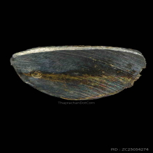 ปั๊มเทพประทานพร หลวงพ่อคูณ เนื้อเงิน ปี 2536 องค์2