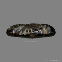 *พระปิดตาห้าเสือเมืองชล* หลวงปู่เจียม วัดกำแพง จ.ชลบุรี