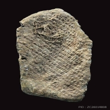 พระยอดขุนพล เนื้อตะกั่วสนิมแดง กรุวัดโพธิ์ตะกวน