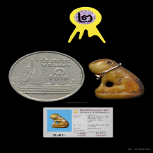 เสือหลวงพ่อปาน หุบปาก 