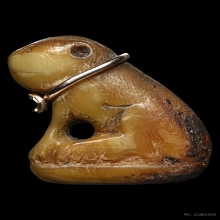 เสือหลวงพ่อปาน หุบปาก 