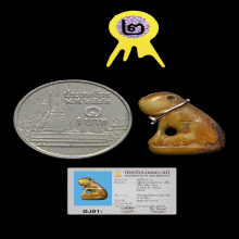 เสือหลวงพ่อปาน หุบปาก 