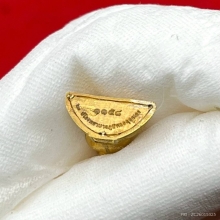 พระทองคำ.หลวงพ่อโสธรคุ้มเกล้าฯ ภ.ป.ร. ปี2552