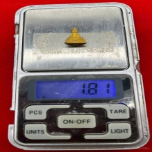 พระทองคำ.หลวงพ่อโสธรคุ้มเกล้าฯ ภ.ป.ร. ปี2552