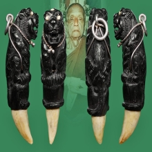 เสือไม้งิ้วดำแกะ ฝังเขี้ยว ฝังงา หลวงพ่อคง วัดวังสรรพรส 