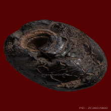 ตะกรุดพอกครั่งหลวงพ่อทองสุข วัดตะโหนดหลวง (แกนใบลาน) 