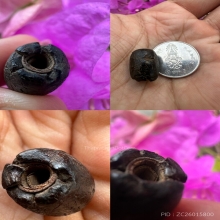 ตะกรุดพอกครั่งหลวงพ่อทองสุข วัดตะโหนดหลวง (แกนใบลาน) 