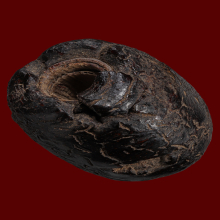 ตะกรุดพอกครั่งหลวงพ่อทองสุข วัดตะโหนดหลวง (แกนใบลาน) 