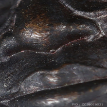 เหรียญท้าวเวสสุวัณ หลวงพ่อฤาษีลิงดำ บล็อกจมูกจุด ปี2521