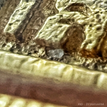 รูปหล่อกายสังขาร หลวงปู่เดินหน เนื้อทองคำ (องค์ที่ 6)