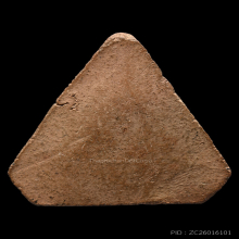 พระโพธิจักร หลวงพ่อลี วัดอโศการาม จ.สมุทรปราการ พ.ศ. 2500