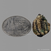 ลูกอมหนังหน้าผากเสืออาจารย์แน่น วัดหนองขาว