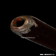 ตะกรุดมหาระงับหลวงปู่ใจ วัดเสด็จ จ.สมุทรสงคราม