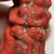 อิ่นนางล้อม ล้านนา (อิ่นหกเมีย)