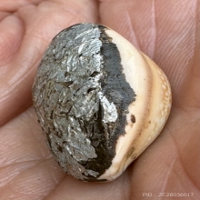 เบี้ยแก้ปิดฟอยล์อลูมีเนียม หลวงพ่อซำ อ่างทอง 2485